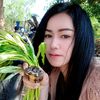2526pueng