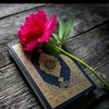 mssathi384
