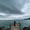 tamhao83