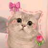 urlovezaraaaaaaa