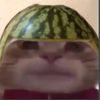 seymook_