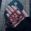 liyanazaini841