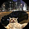 eduardord38