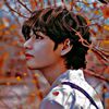 btsarmykim_1