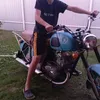 iagey331