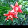 dy6f50577k0