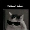 saud57485