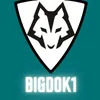big_dok1