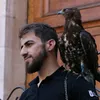 RAYYAN | ريّان