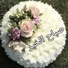 user7329906727335