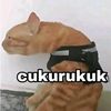 truly.ayaa