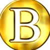 bigoudiyn