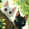 kitty.aam0