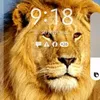 suchit253789