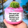 natri233