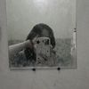 keysyazhr_