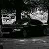 zoloto1.lgnd