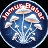 jamurbahar