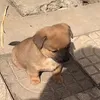 potcheroooo