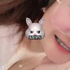 kaewkaosongkit2
