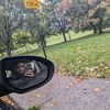 badro_dz10