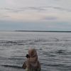 nia_aja278