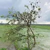 1002nguyenh