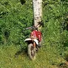 xileesin66