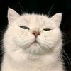 emperor_167