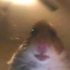 jayjay_26m
