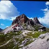 vicinzino