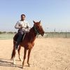 aboalwaleed50