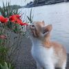 sho_5510