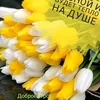 user2471159356338