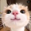 sweetness_not_thatgood77