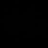 l2s1x