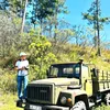 canhtravel