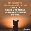 reydelaselva8