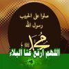mohamedboukikaz88
