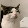 danyzap_12