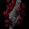 ineswalid4
