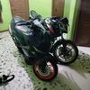 cupss448