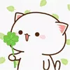 banhbaou01