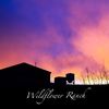wildflower_mt