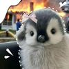 oreo_matchallyy