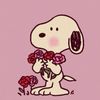 steph_xdw