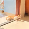 argusmcgonagall