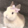 pwettyfullsun