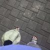 wann_14055
