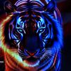abo_faisal36